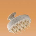 فرشاة التدليك